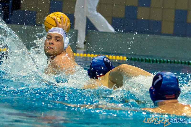 DSW Waterpolo Poznań - Pirana SC Topolčany 15:6 - Poznań 02.03.2014 r.  Foto: LepszyPOZNAN.pl / Paweł Rychter