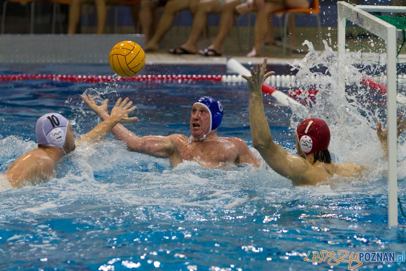 Malta Waterpolo Cup 2014 - DSW Waterpolo Poznań - Half Moon  Foto: lepszyPOZNAN.pl/  Piotr Rychter