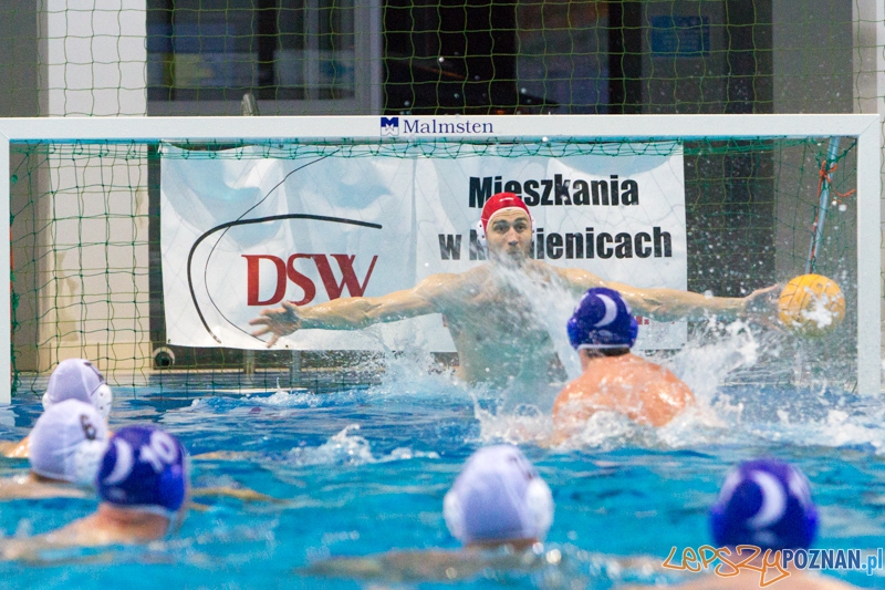 Malta Waterpolo Cup 2014 - DSW Waterpolo Poznań - Half Moon  Foto: lepszyPOZNAN.pl/  Piotr Rychter