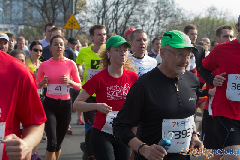 7. Poznań półmaraton - 6.04.2014 r.  Foto: lepszyPOZNAN.pl / Piotr Rychter