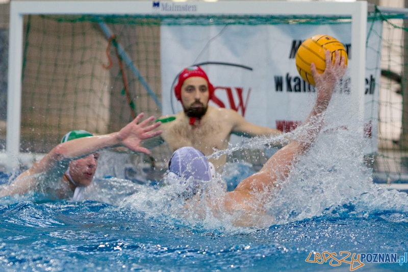 DSW Waterpolo Poznań - Legia Warszawa  Foto: lepszyPOZNAN.pl / Piotr Rychter