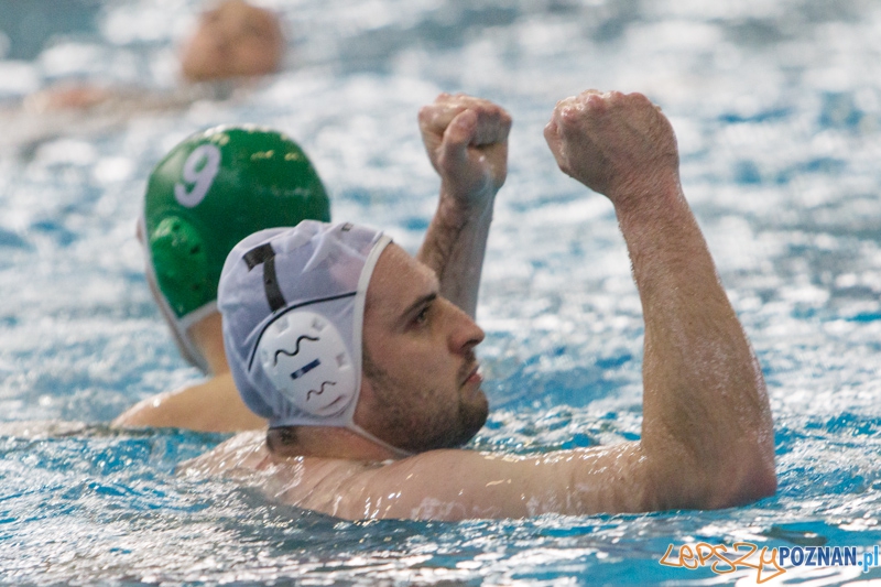 DSW Waterpolo Poznań - Legia Warszawa  Foto: lepszyPOZNAN.pl / Piotr Rychter