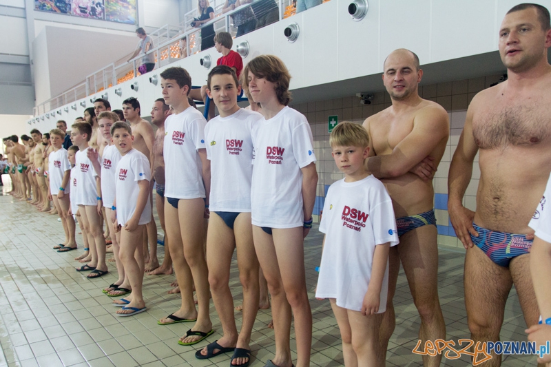 DSW Waterpolo Poznań - Legia Warszawa  Foto: lepszyPOZNAN.pl / Piotr Rychter