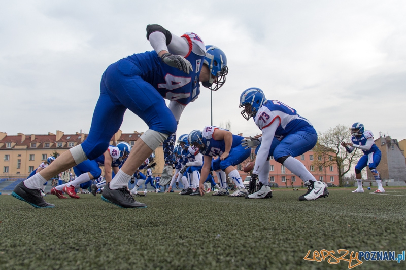 Kozły Poznań - Warsaw Sharks  Foto: lepszyPOZNAN.pl / Piotr Rychter