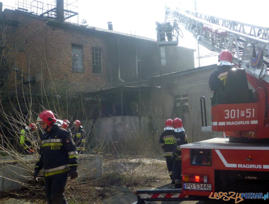 Pożar opuszczonej fabryki w Czerwonaku  Foto: Straż Pożarna