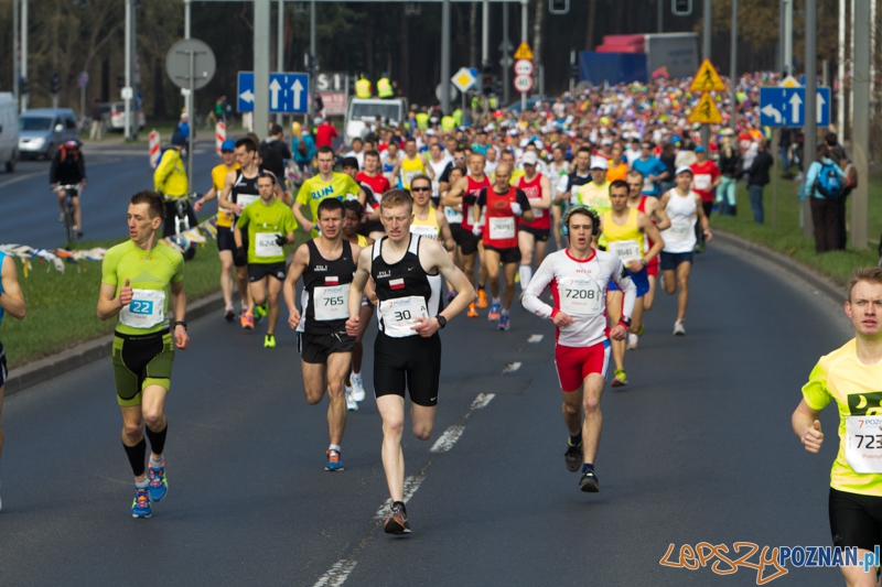 7. Poznań półmaraton - 6.04.2014 r.  Foto: lepszyPOZNAN.pl / Piotr Rychter
