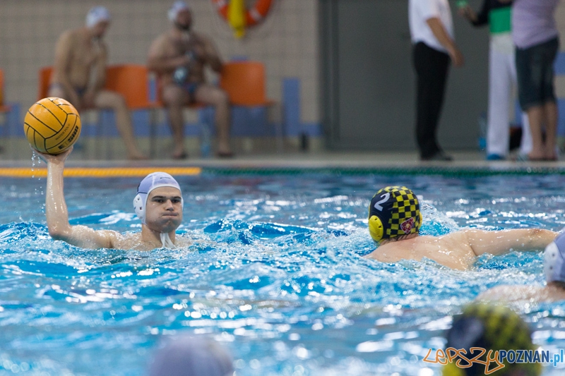 DSW Waterpolo Poznań - ŁSTW Uniwersytet Łódzki (Rafał Bocheński)  Foto: lepszyPOZNAN.pl / Piotr Rychter