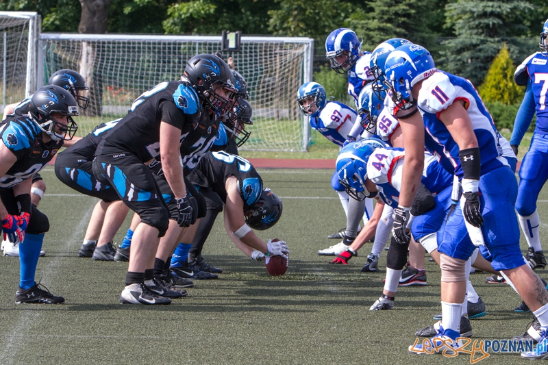 Kozły Poznań - Panthers Wrocław - Poznań 28.06.2014 r.  Foto: LepszyPOZNAN.pl / Paweł Rychter