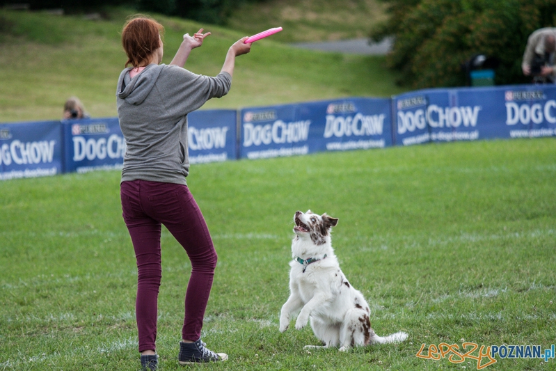 Dog Chow Disc Cup 2014 (14.06.2014)  Foto: © lepszyPOZNAN.pl / Karolina Kiraga
