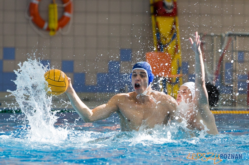 DSW Waterpolo Poznań – GKPW 59 Gorzów  Foto: lepszyPOZNAN.pl / Piotr Rychter