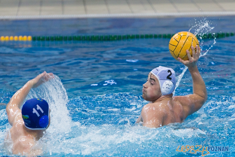 DSW Waterpolo Poznań – GKPW 59 Gorzów (Dawid Łuc)  Foto: lepszyPOZNAN.pl / Piotr Rychter