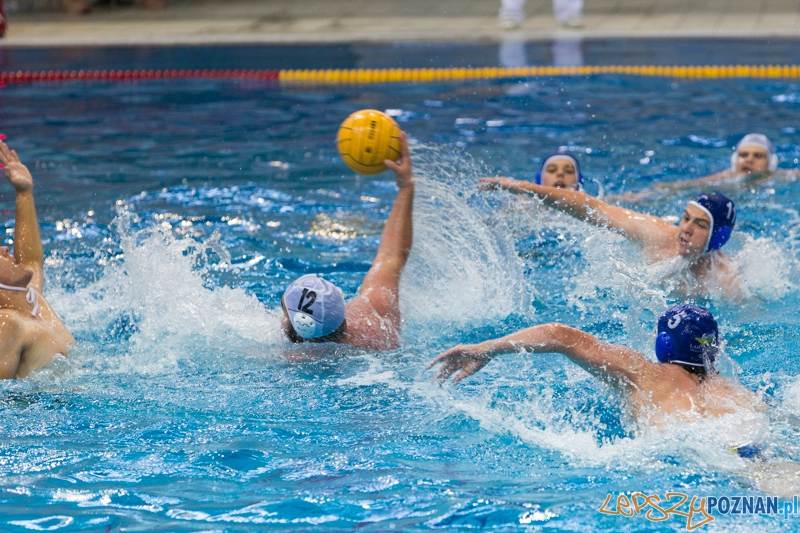 DSW Waterpolo Poznań – GKPW 59 Gorzów (Michał Zawadzki)  Foto: lepszyPOZNAN.pl / Piotr Rychter