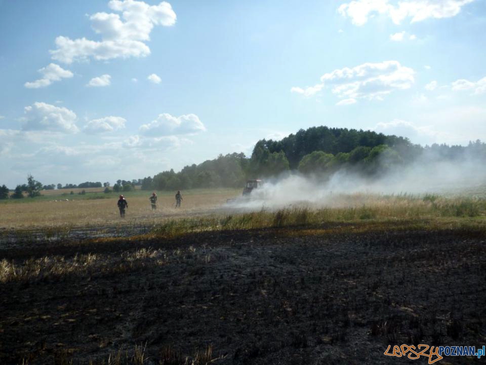 Pożar zboża  Foto: JRG-8