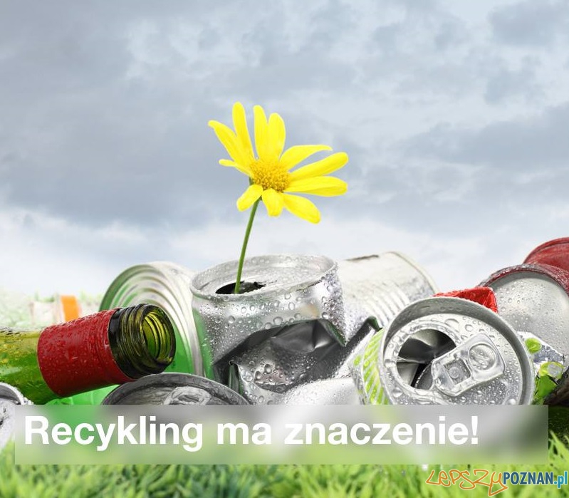 Recycling  Foto: 
