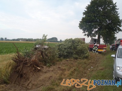 Wypadek w Wygodzie  Foto: KP PSP we Wrześni