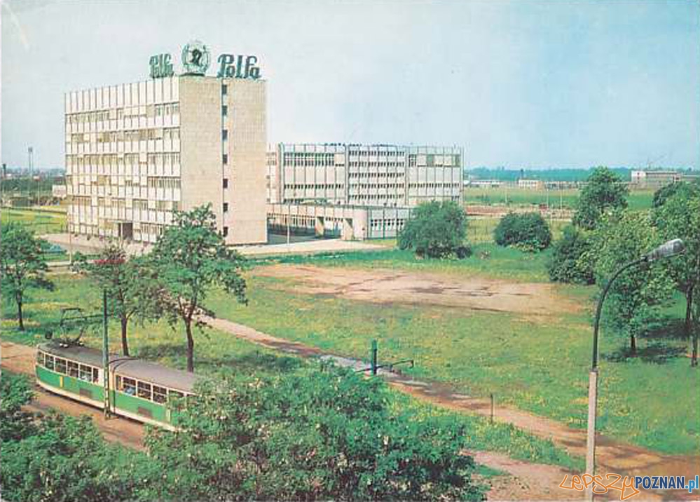 Polfa w Poznaniu, rok 1977  Foto: 