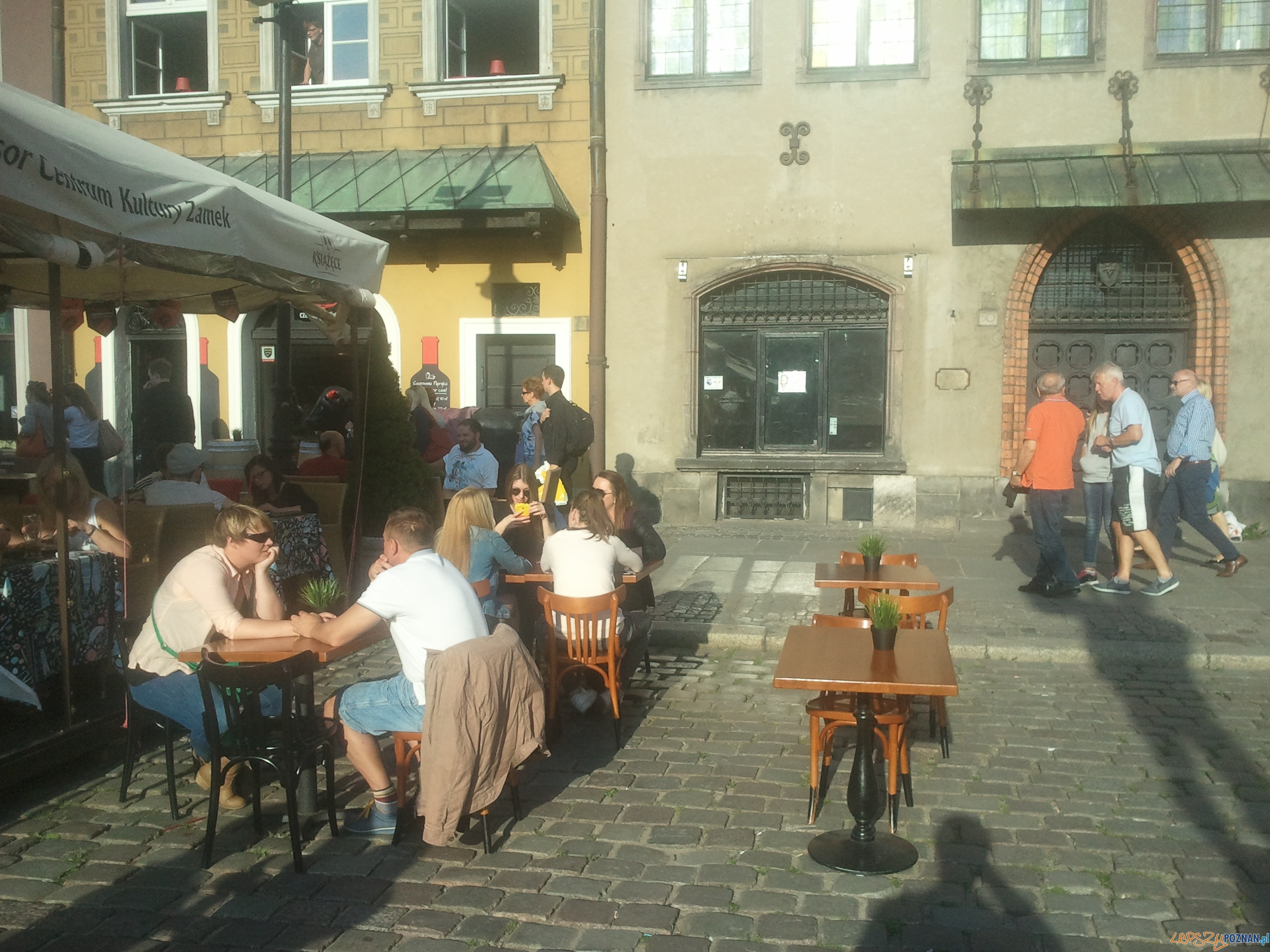 Nielegalny ogródek na Starym Rynku  Foto: news@lepszypoznan.pl