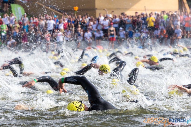 Enea Poznań Triathlon - dystans długi  Foto: lepszyPOZNAN.pl / Piotr Rychter