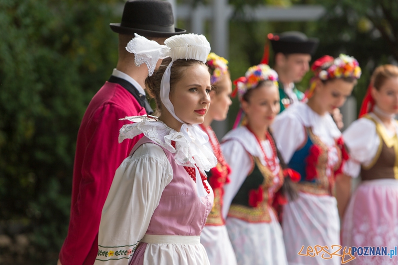 Dożynki miejskie 2014  Foto: lepszyPOZNAN.pl / Piotr Rychter