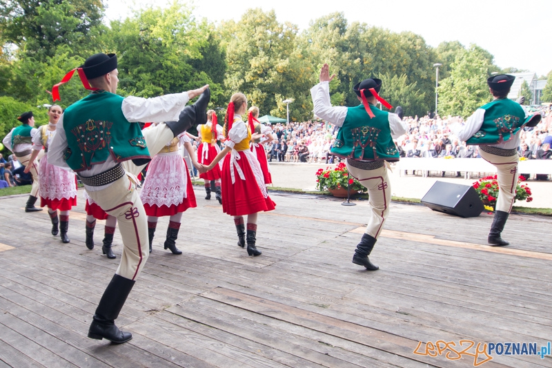 Dożynki miejskie 2014  Foto: lepszyPOZNAN.pl / Piotr Rychter