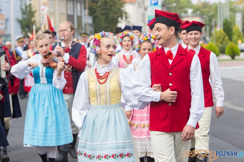 Dożynki miejskie 2014  Foto: lepszyPOZNAN.pl / Piotr Rychter