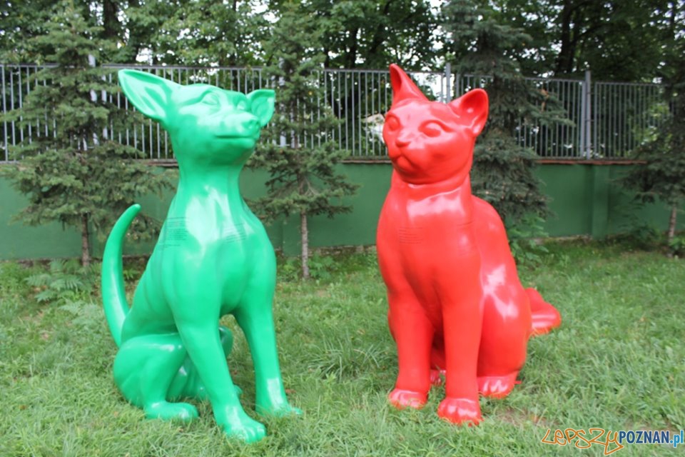 Figury psa i kota ukryte w Poznaniu  Foto: Schronisko dla zwierząt w Poznaniu