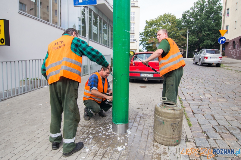 II edycję akcji Sprzątamy Wildę  Foto: lepszyPOZNAN.pl / Piotr Rychter