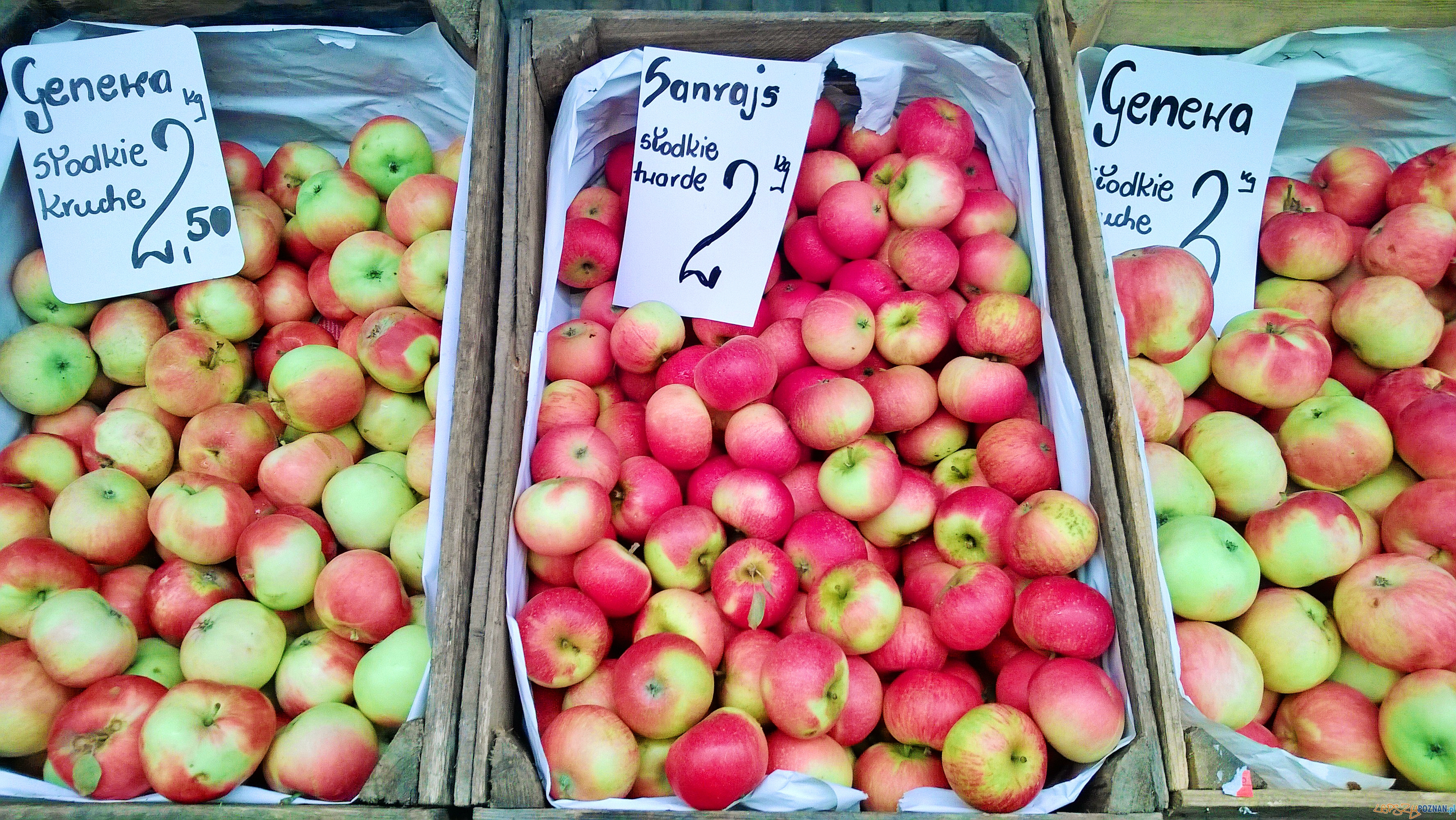 Jablka na Rynku Bernardyńskim  Foto: TD