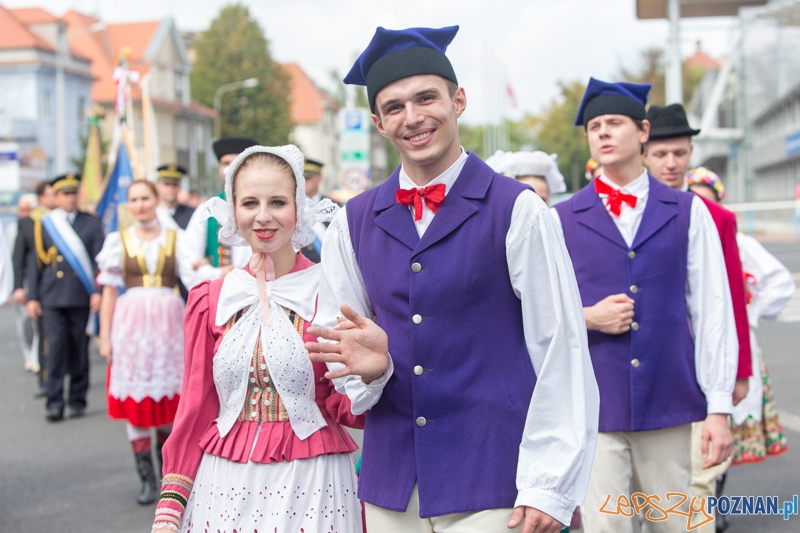 Dożynki miejskie 2014  Foto: lepszyPOZNAN.pl / Piotr Rychter