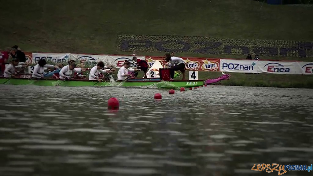 Mistrzostwach Świata smoczych łodzi na Torze Regatowym Malta Poznań  Foto: x-news
