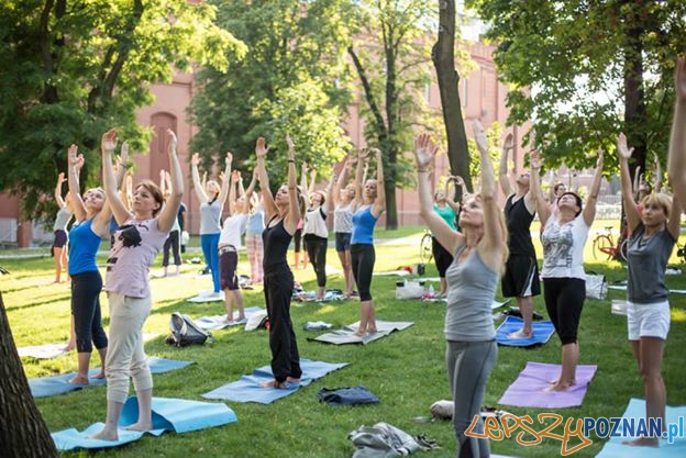 Joga w Starym Browarze  Foto: materiały prasowe