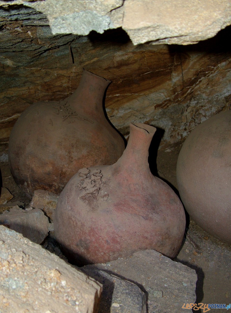 Piwo w Muzeum   Foto: Muzeum Archeologiczne