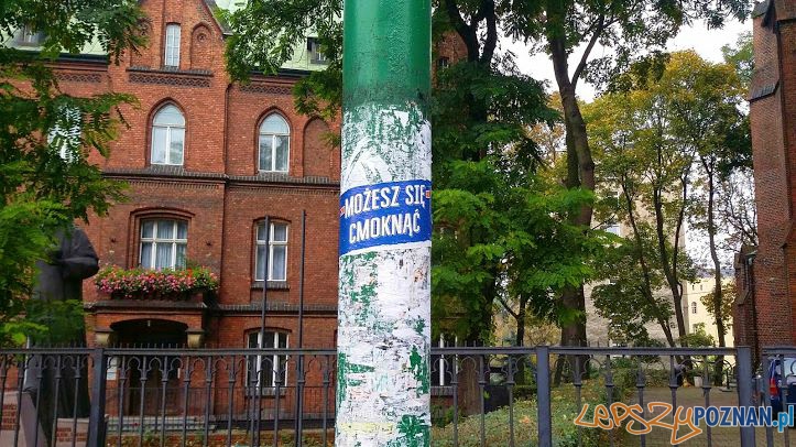 Czyszczenie słupów z nielegalnych reklam  Foto: lepszyPOZNAN.pl / tab