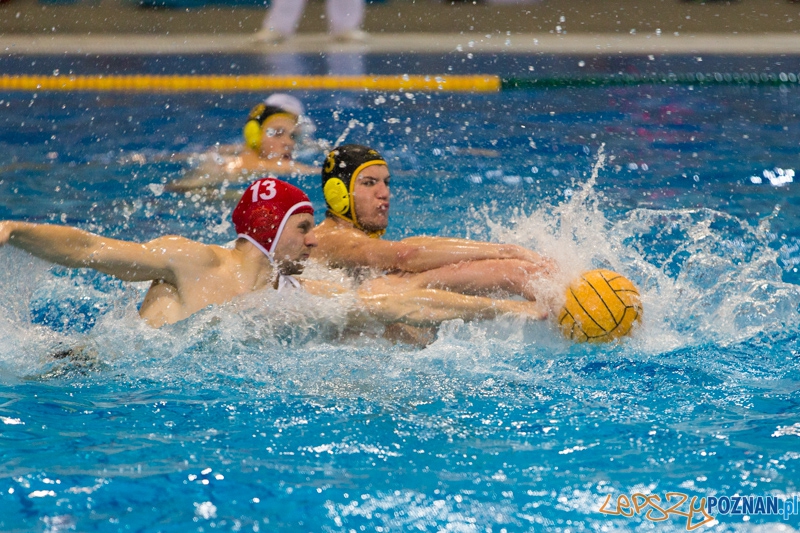 DSW Waterpolo Poznań - WTS Bytom  Foto: lepszyPOZNAN.pl / Piotr Rychter