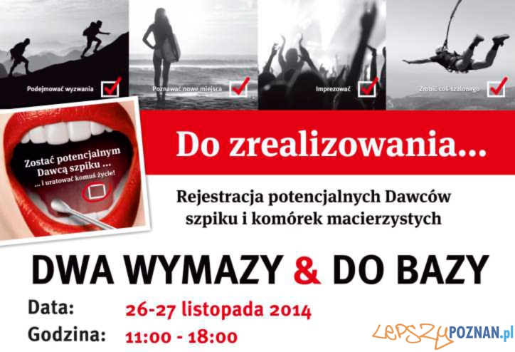 Dwa wymazy & do bazy  Foto: Materiały prasowe