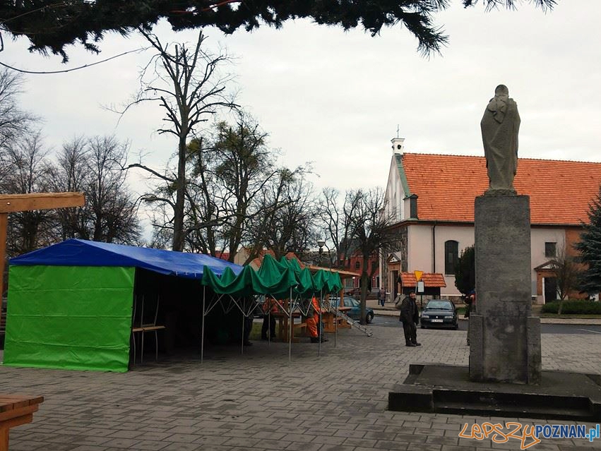 Jarmark Bożonarodzeniowy w Murowanej Goślinie  Foto: UMiG Murowana Gośłina / Daria Niemier