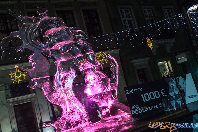 Stihl Poznan Ice Festival - wystawa pokonkursowa - 14.12.2014 r.  Foto: LepszyPOZNAN.pl / Paweł Rychter