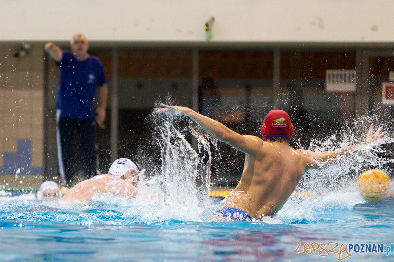 DSW Waterpolo Poznań – GKPW 59 Gorzów  Foto: lepszyPOZNAN.pl / Piotr Rychter