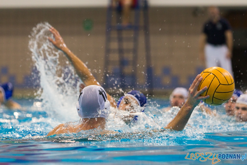 DSW Waterpolo Poznań – GKPW 59 Gorzów  Foto: lepszyPOZNAN.pl / Piotr Rychter