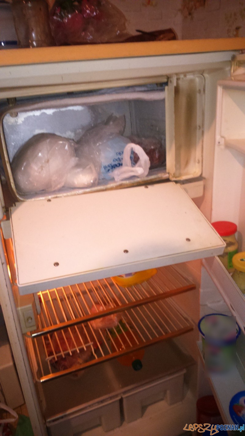Narkotyku ukryte w lodówce  Foto: KMP