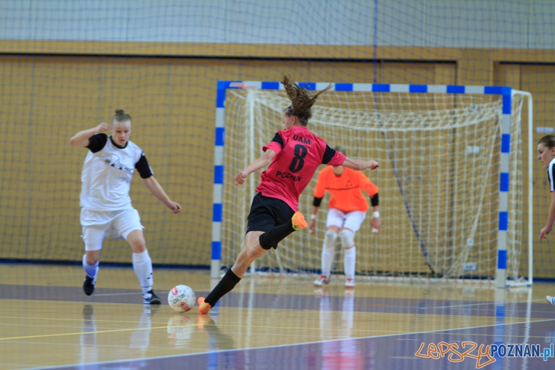 AZS UAM Poznań - ISD AJD GOL Częstochowa 5:3 (2:2) - Poznań 4.01.2015 r.  Foto: LepszyPOZNAN.pl / Paweł Rychter