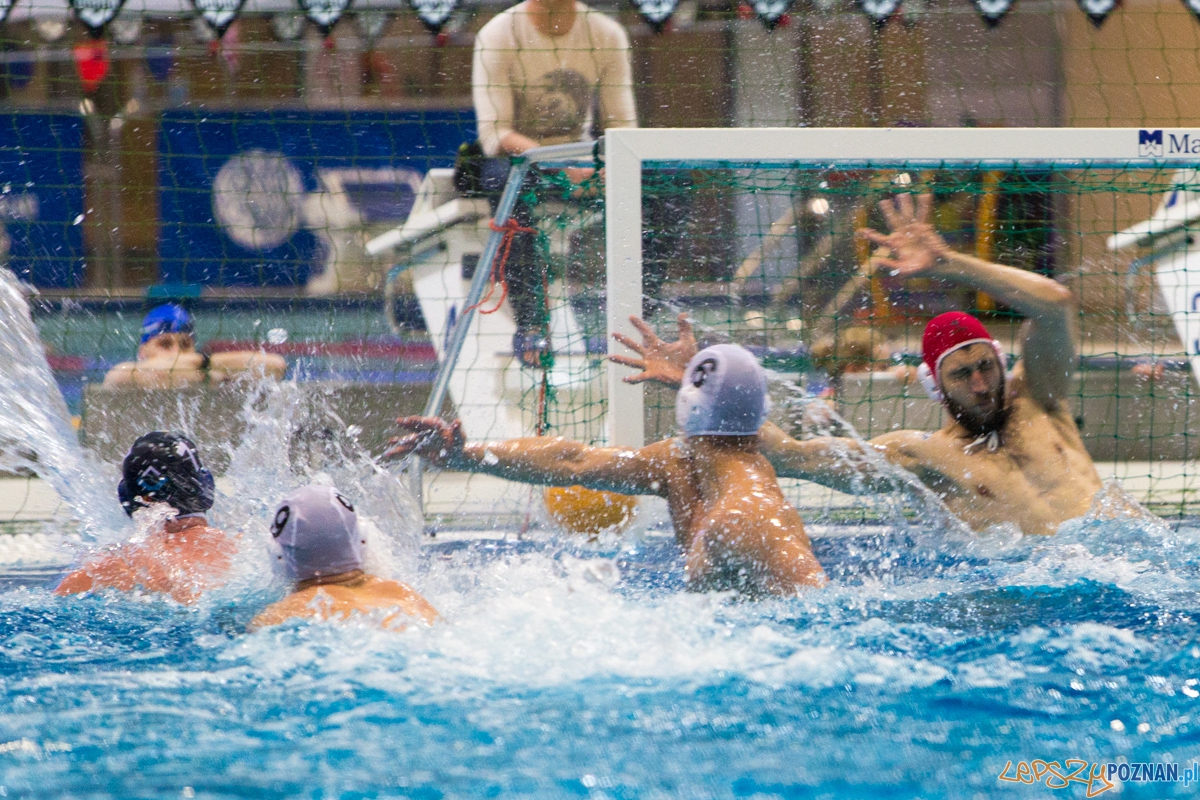 DSW Waterpolo Poznań - OCMER UŁ ŁSTW  Foto: lepszyPOZNAN.pl / Piotr Rychter