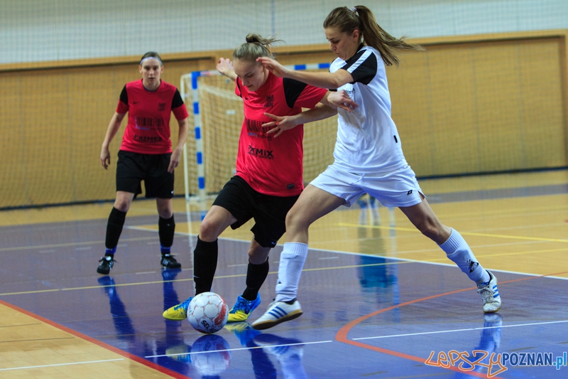 AZS UAM Poznań - ISD AJD GOL Częstochowa 5:3 (2:2) - Poznań 4.01.2015 r.  Foto: LepszyPOZNAN.pl / Paweł Rychter