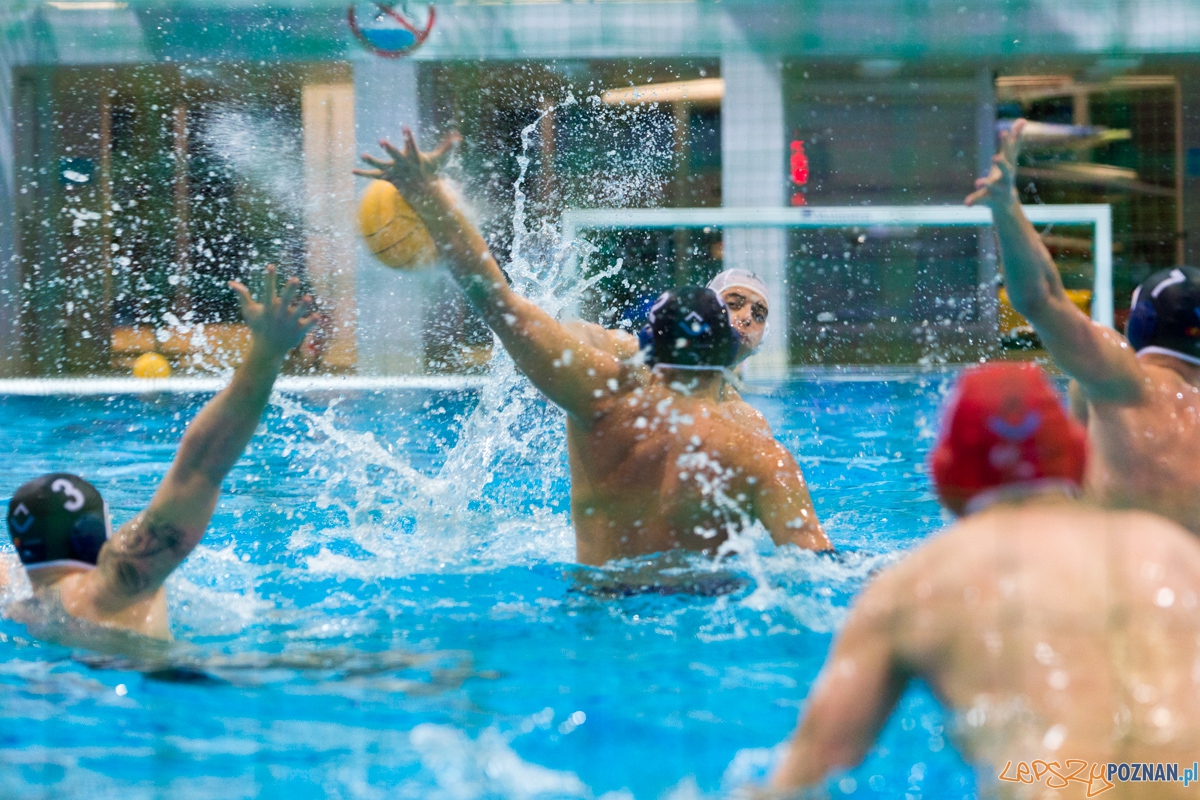 DSW Waterpolo Poznań - OCMER UŁ ŁSTW  Foto: lepszyPOZNAN.pl / Piotr Rychter