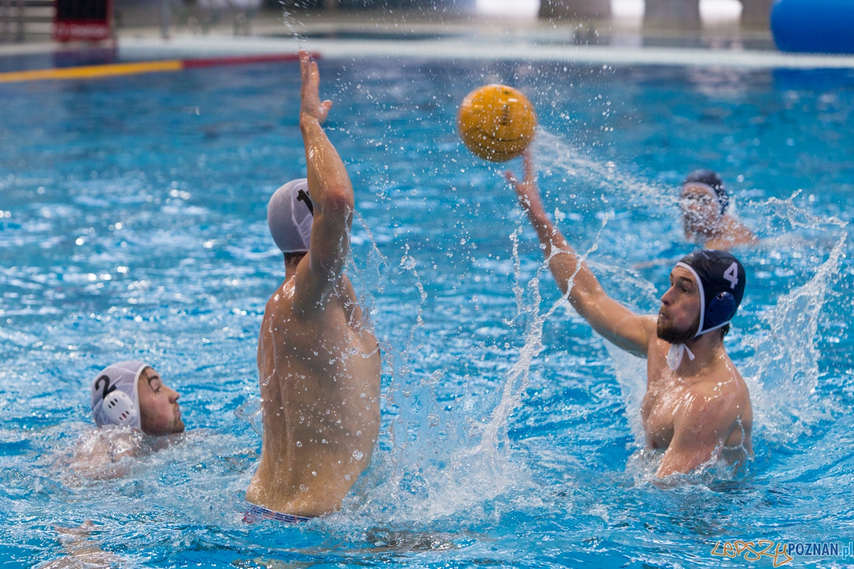 DSW Waterpolo Poznań - OCMER UŁ ŁSTW  Foto: lepszyPOZNAN.pl / Piotr Rychter