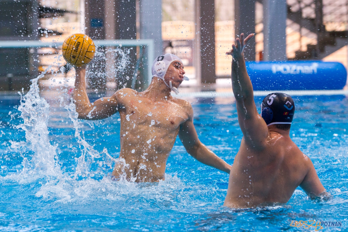 DSW Waterpolo Poznań - OCMER UŁ ŁSTW  Foto: lepszyPOZNAN.pl / Piotr Rychter