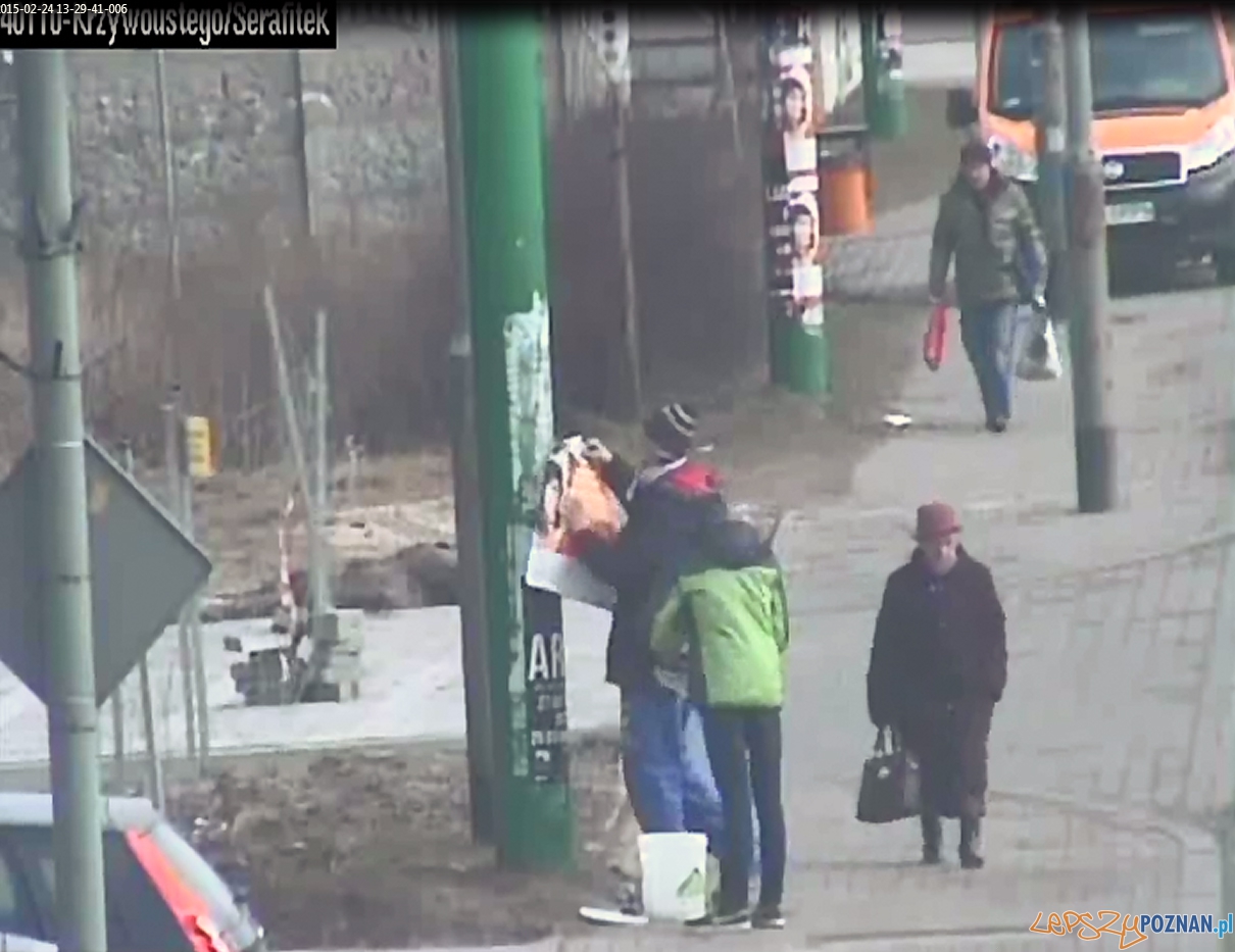 Nielegalne plakatowanie  Foto: Straż Miejska Miasta Poznania