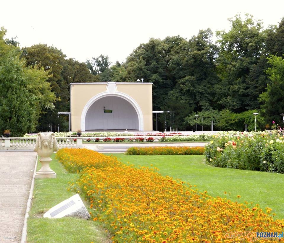 Muszla w Parku Wilsona  Foto: Wirtualny Łazarz