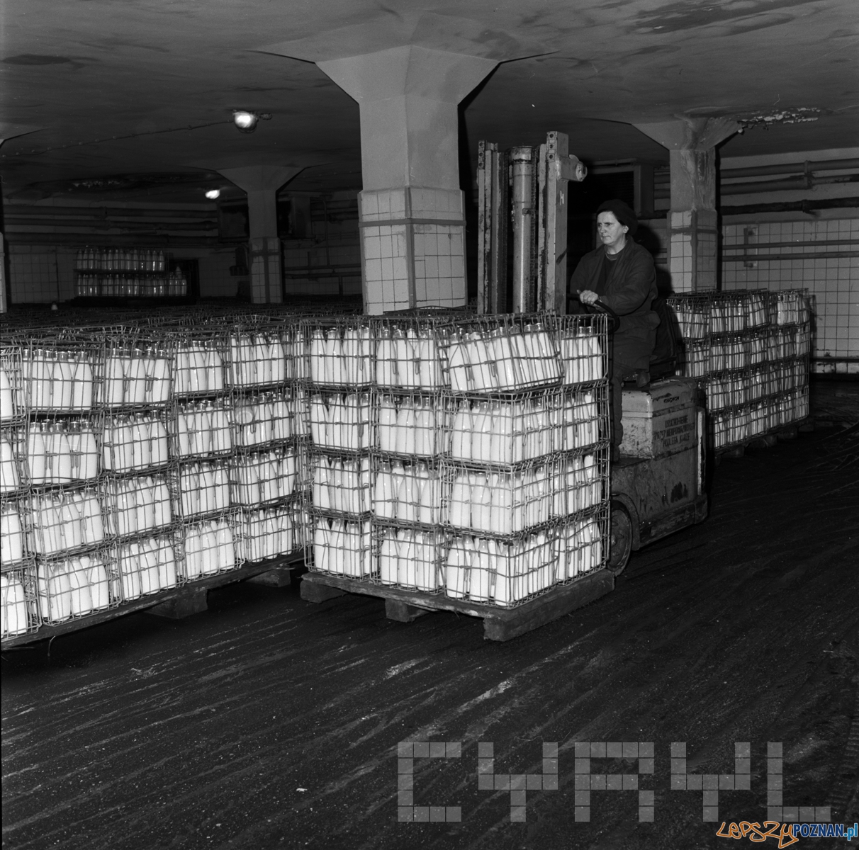 Mleko w butelkach przygotowane do transportu w metalowych koszach w Poznańskiej Spółdzielni Mleczarskiej „Mleczarnia Dębiec”  Foto: Stanisław Wiktor / Cyryl/ 1974