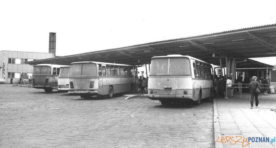Dworzec PKS w Poznaniu (1982)  Foto: Archiwum PKS